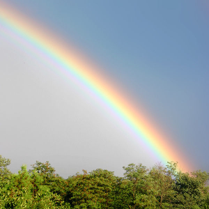 Rainbows - Part I - Introduction and The Science Of The Rainbow — Dolores  Pian